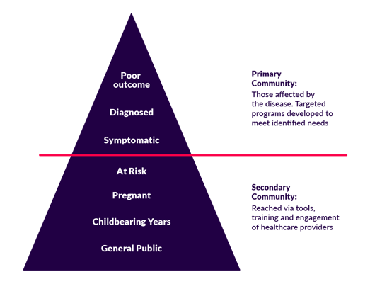 Pyramid that is divided into two sections, "Primary audience" on top and "Secondary audience on bottom." Primary audience is sub-divided into levels, which are labeled from top to bottom: Poor outcome, Diagnosed, Symptomatic, At Risk. Secondary audience is also sub-divided into levels, which are labeled from top to bottom: Pregnant, Childbearing Years, General Public.