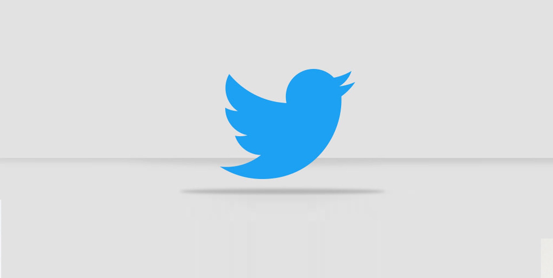 54-twitter-accounts-you-should-be-following.jpg